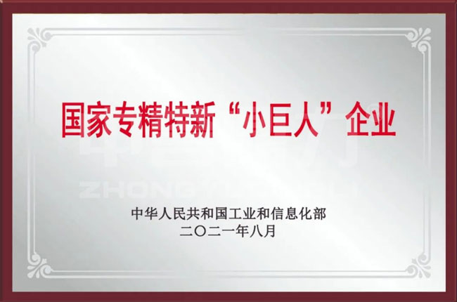 國家專精特新‘小巨人’企業(yè)