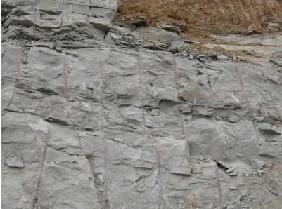 人工砂巖中針片狀含量的與試驗(yàn)